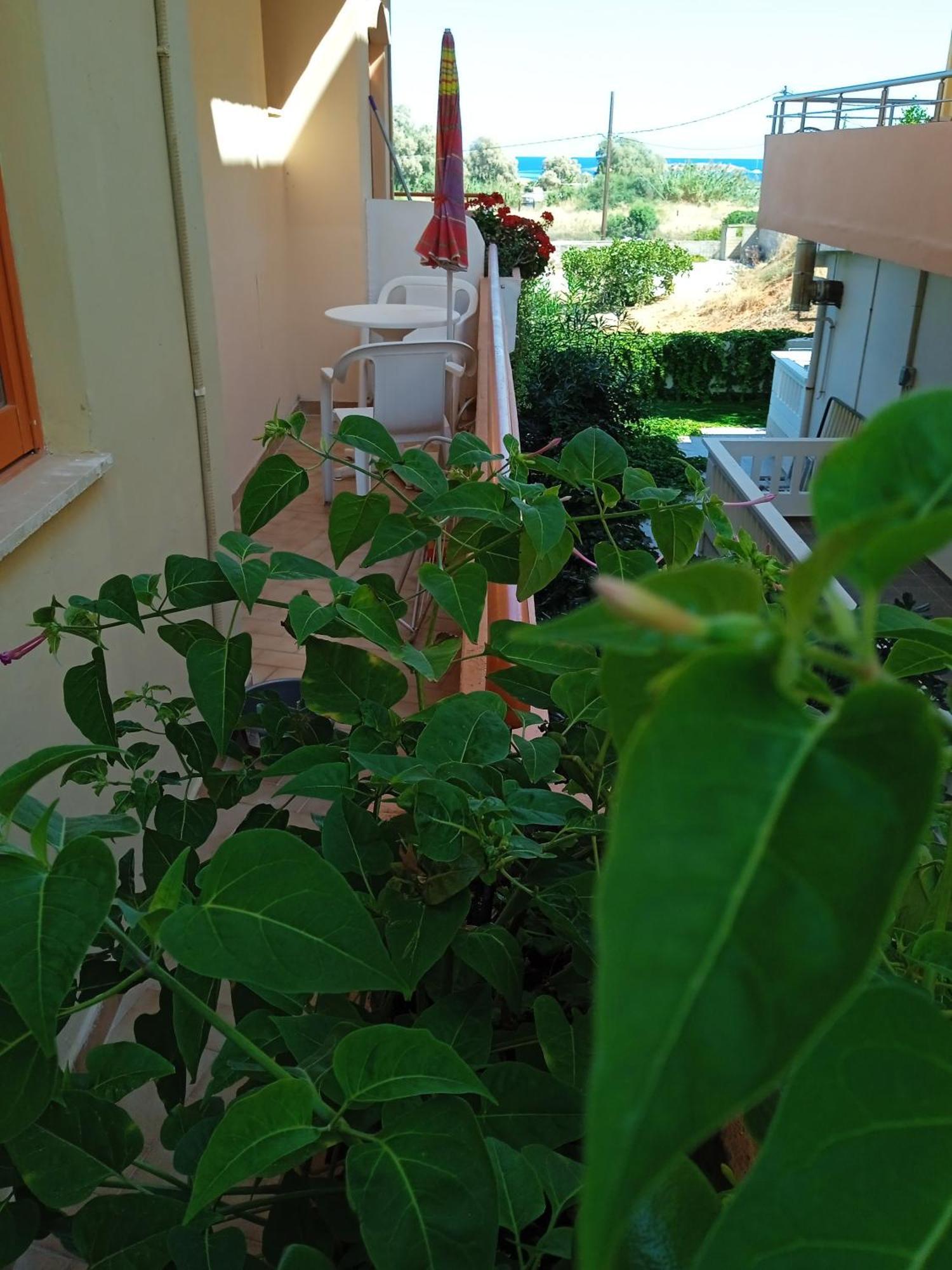 Ilona Apartments Chania Káto Darátsos Rom bilde