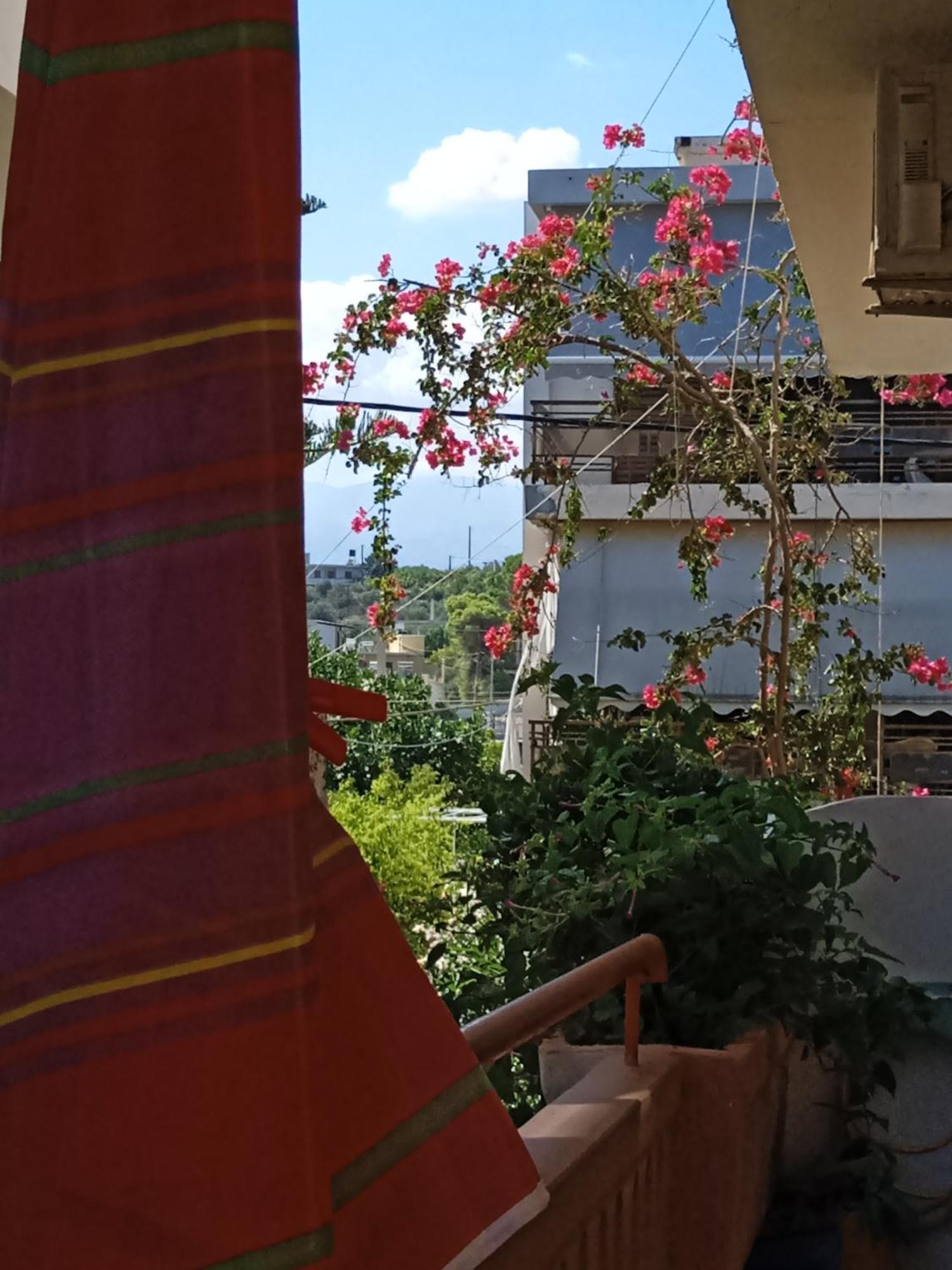 Ilona Apartments Chania Káto Darátsos Rom bilde