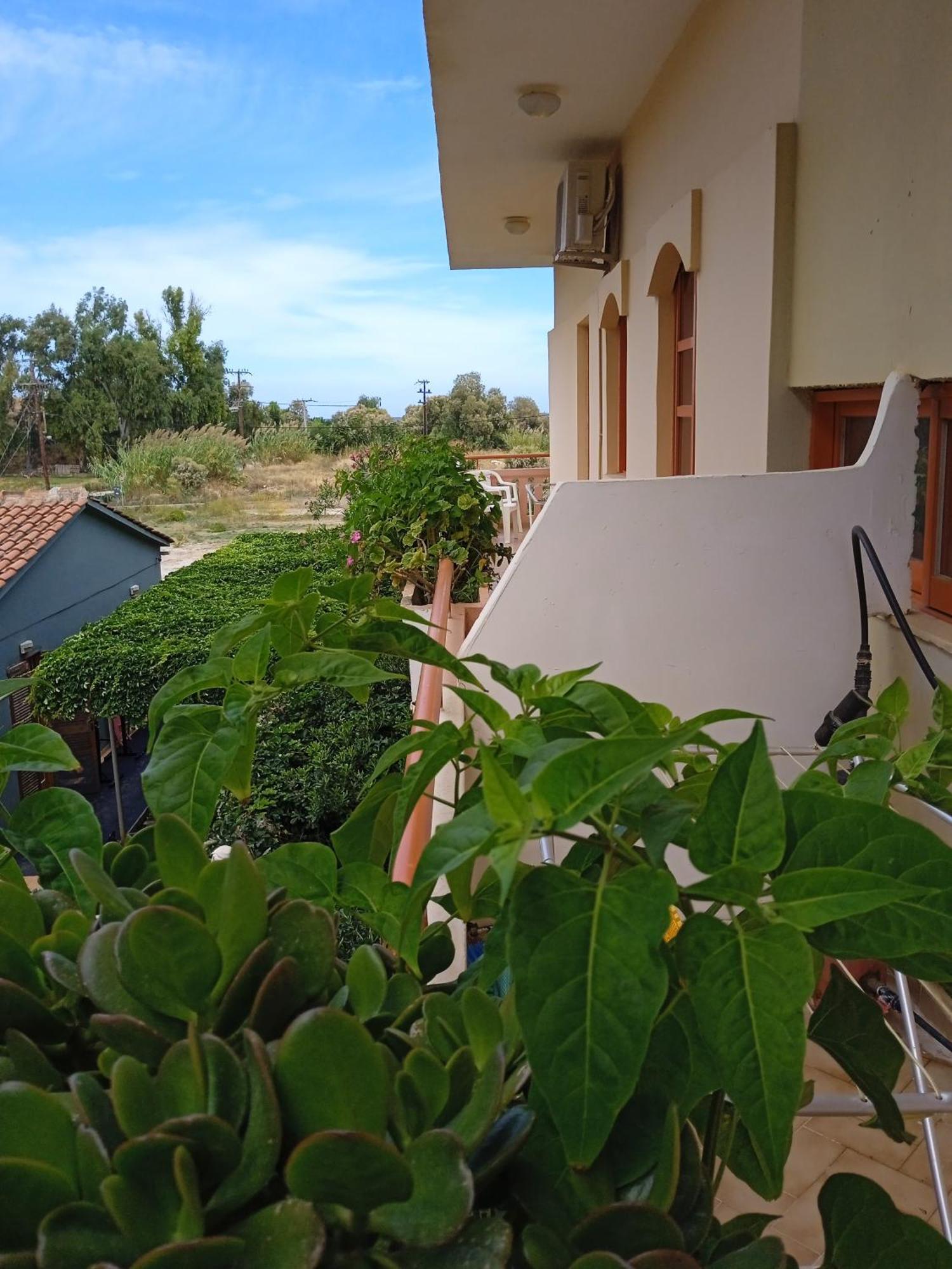 Ilona Apartments Chania Káto Darátsos Rom bilde