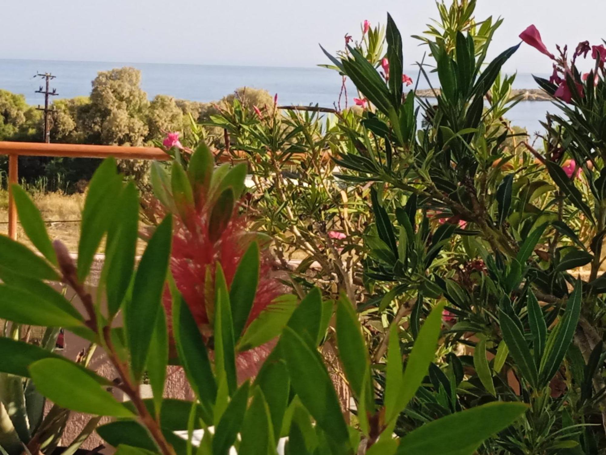 Ilona Apartments Chania Káto Darátsos Rom bilde