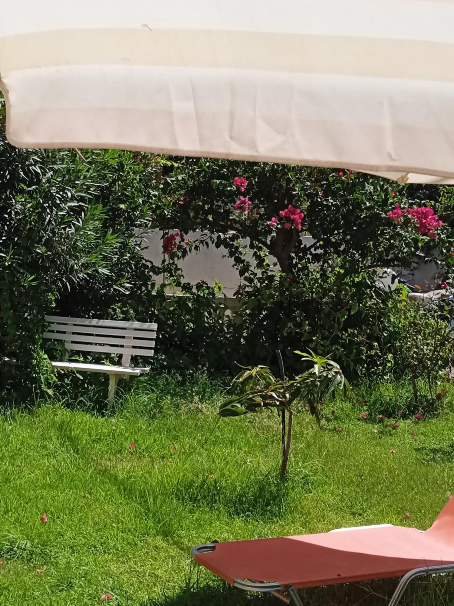 Ilona Apartments Chania Káto Darátsos Rom bilde