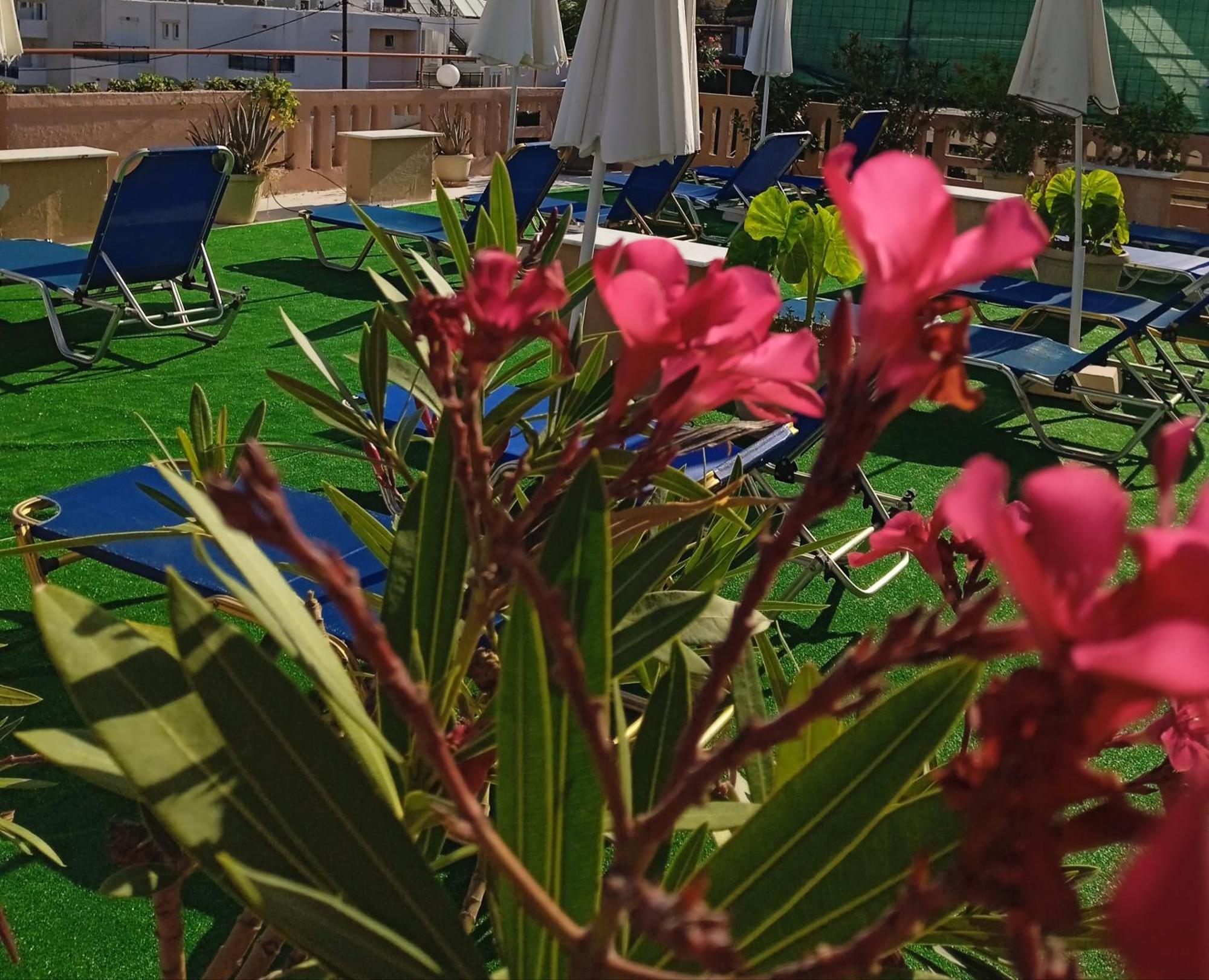 Ilona Apartments Chania Káto Darátsos Rom bilde