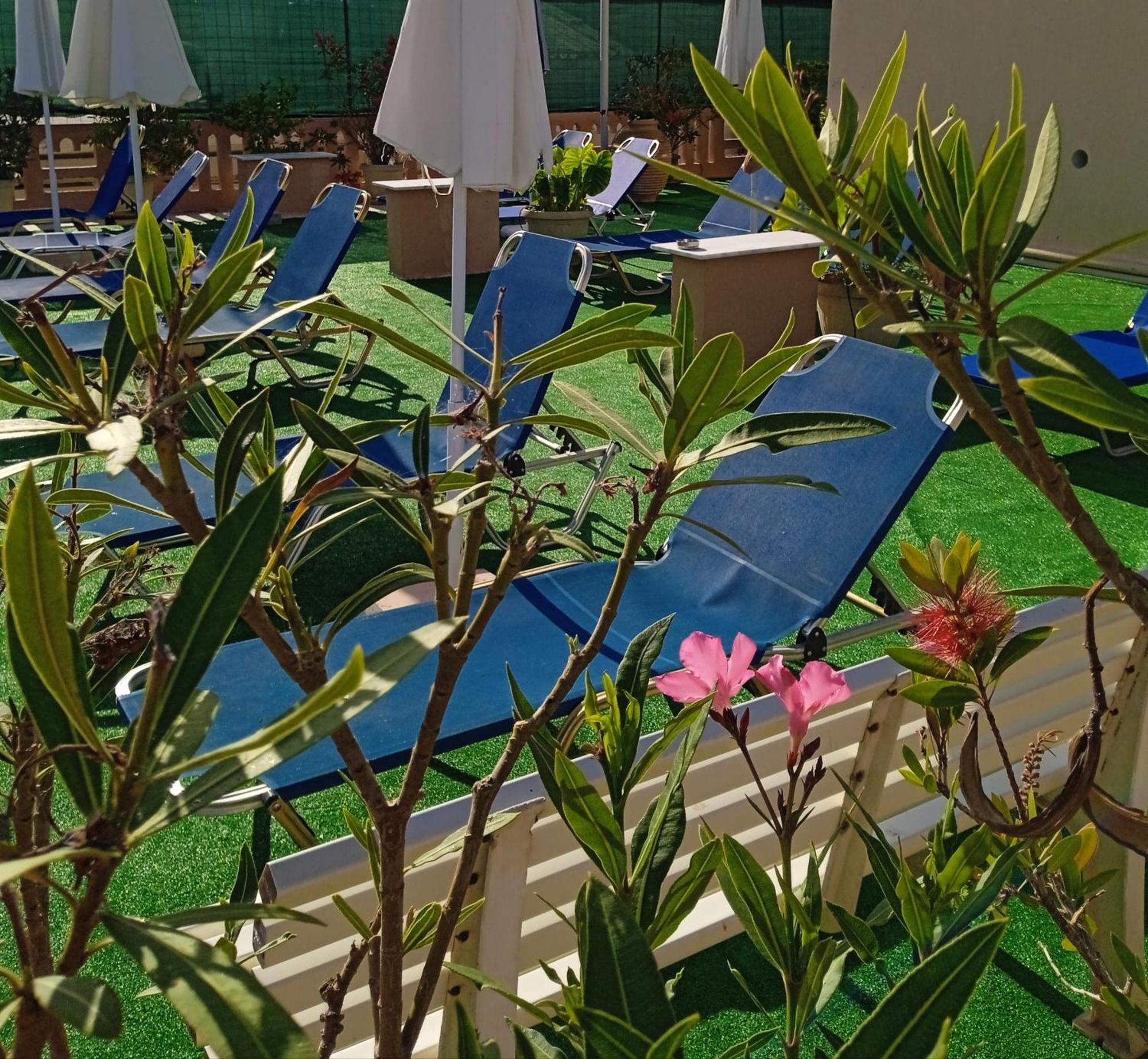 Ilona Apartments Chania Káto Darátsos Rom bilde